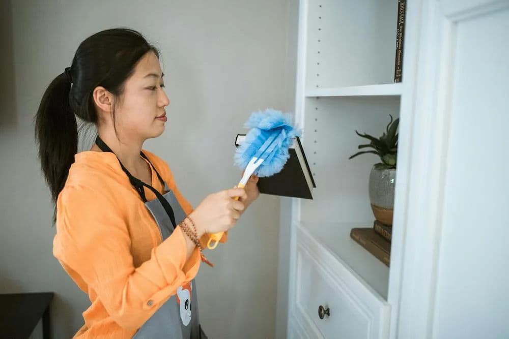 Recurring Maid Services